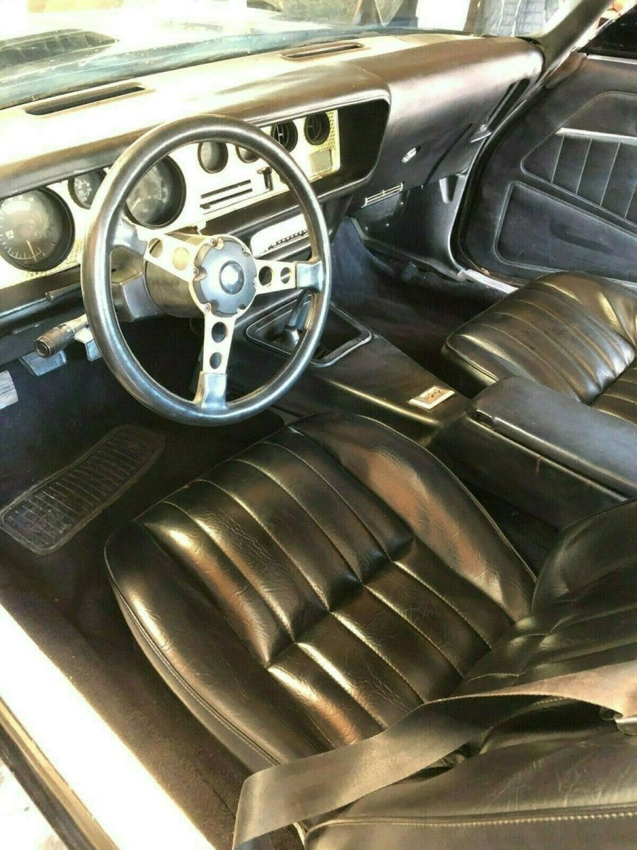 1981 Pontiac Trans Am TRANS AM - photo 8