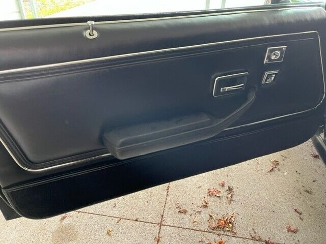 1981 Pontiac Firebird Basic - photo 11