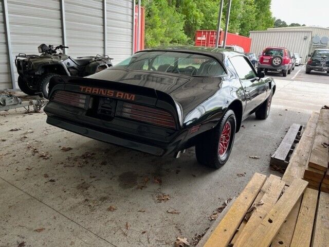 1981 Pontiac Firebird Basic - photo 12