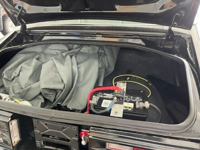 1981 Pontiac Firebird Basic - photo 13