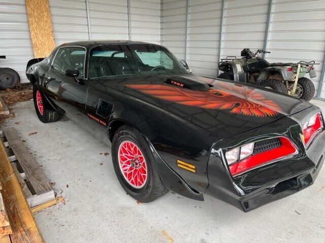 1981 Pontiac Firebird Basic - photo 2