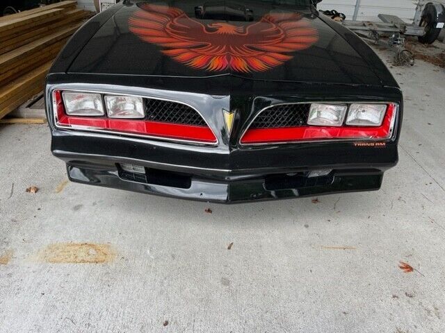 1981 Pontiac Firebird Basic - photo 3