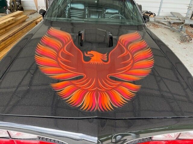 1981 Pontiac Firebird Basic - photo 4