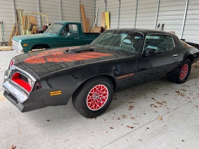 1981 Pontiac Firebird Basic - photo 5