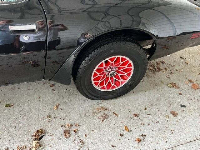 1981 Pontiac Firebird Basic - photo 6