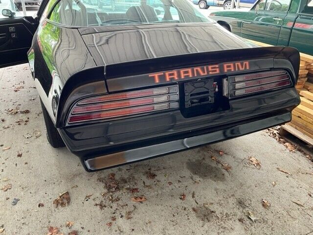 1981 Pontiac Firebird Basic - photo 7