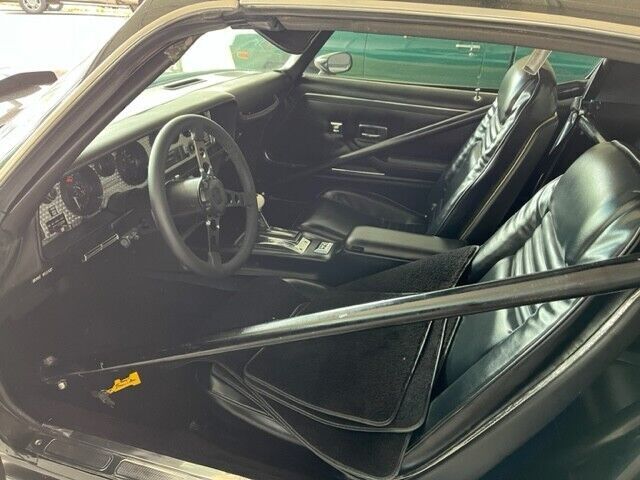 1981 Pontiac Firebird Basic - photo 8