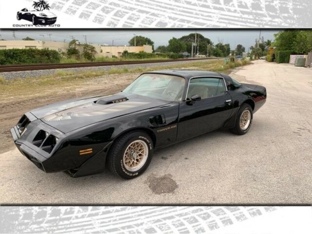 1981 Pontiac Firebird Trans Am