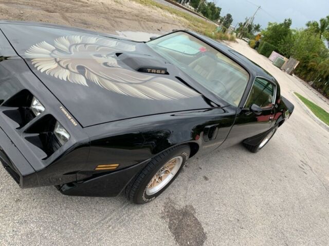 1981 Pontiac Firebird Trans Am - photo 10