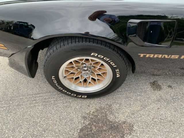 1981 Pontiac Firebird Trans Am - photo 11