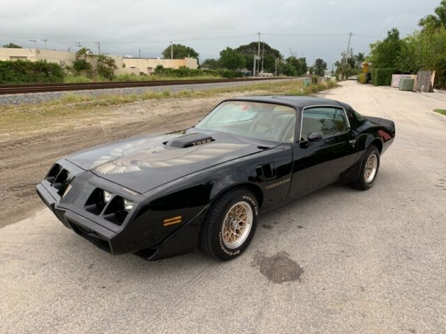 1981 Pontiac Firebird Trans Am - photo 2