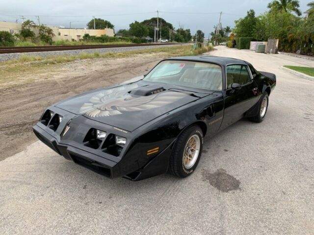 1981 Pontiac Firebird Trans Am - photo 3