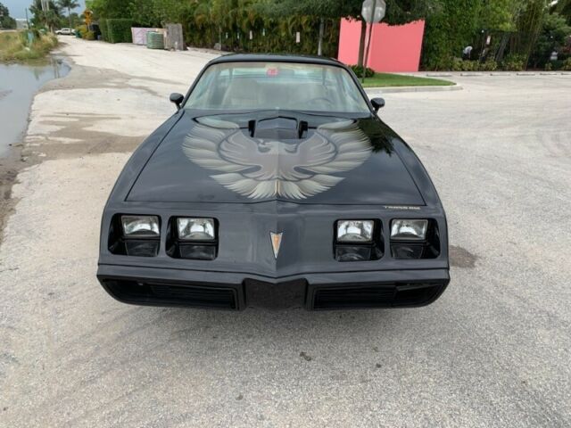 1981 Pontiac Firebird Trans Am - photo 4