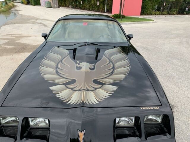 1981 Pontiac Firebird Trans Am - photo 5