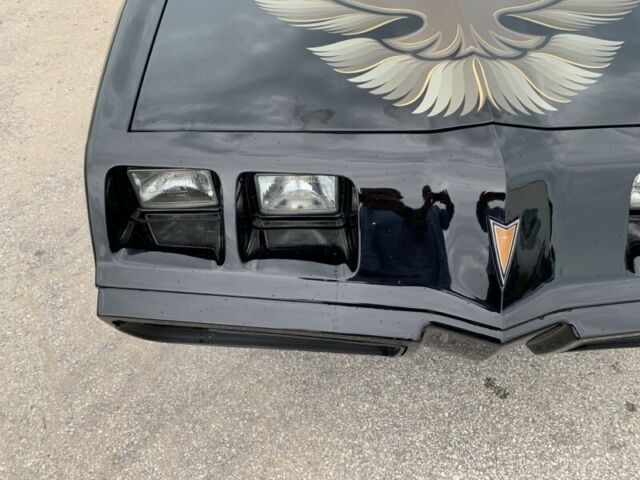 1981 Pontiac Firebird Trans Am - photo 8