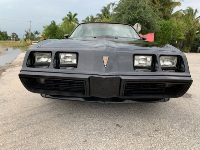 1981 Pontiac Firebird Trans Am - photo 9