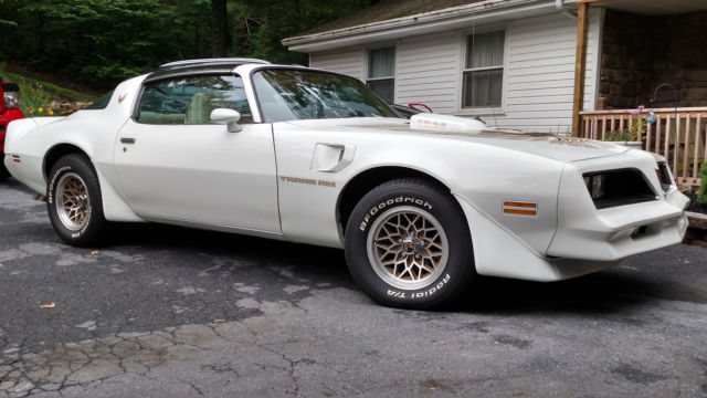 1981 Pontiac Firebird TRANS AM WS6