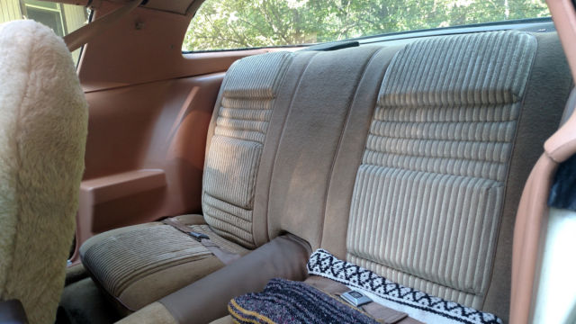 1981 Pontiac Firebird TRANS AM WS6 - photo 10