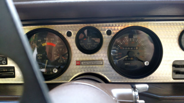 1981 Pontiac Firebird TRANS AM WS6 - photo 11