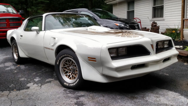 1981 Pontiac Firebird TRANS AM WS6 - photo 2