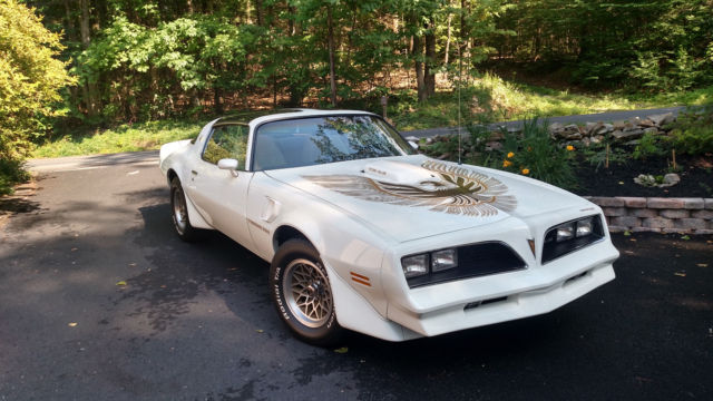 1981 Pontiac Firebird TRANS AM WS6 - photo 3