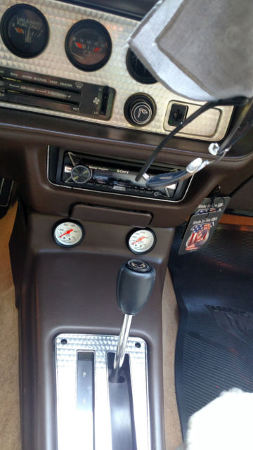 1981 Pontiac Firebird TRANS AM WS6 - photo 13