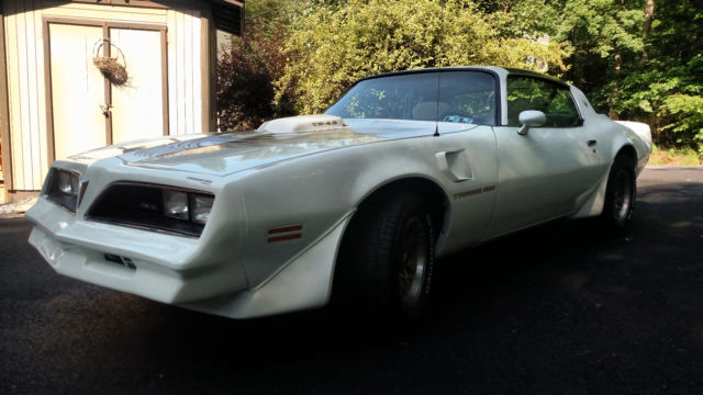 1981 Pontiac Firebird TRANS AM WS6 - photo 4