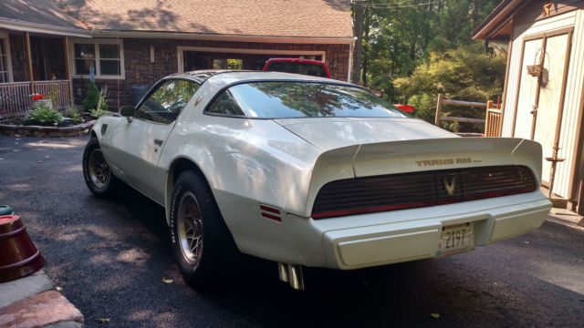 1981 Pontiac Firebird TRANS AM WS6 - photo 6