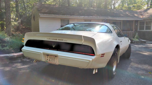 1981 Pontiac Firebird TRANS AM WS6 - photo 5
