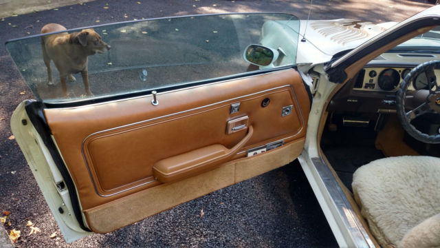 1981 Pontiac Firebird TRANS AM WS6 - photo 7