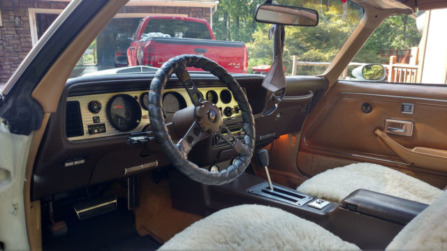 1981 Pontiac Firebird TRANS AM WS6 - photo 8