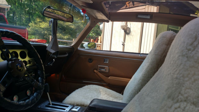 1981 Pontiac Firebird TRANS AM WS6 - photo 9