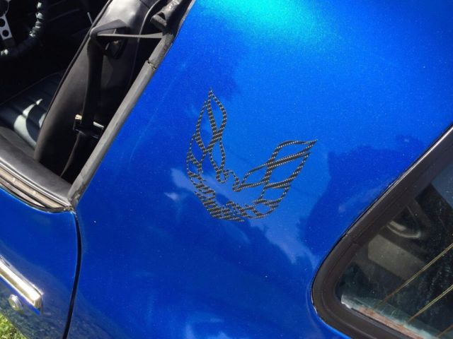 1981 Pontiac Firebird - photo 10