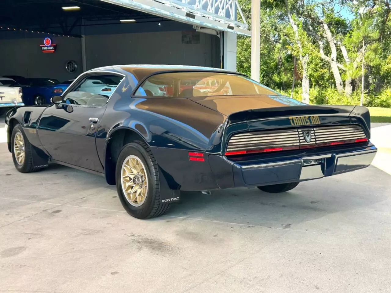 1981 Pontiac Firebird Trans Am 2dr Coupe - photo 10