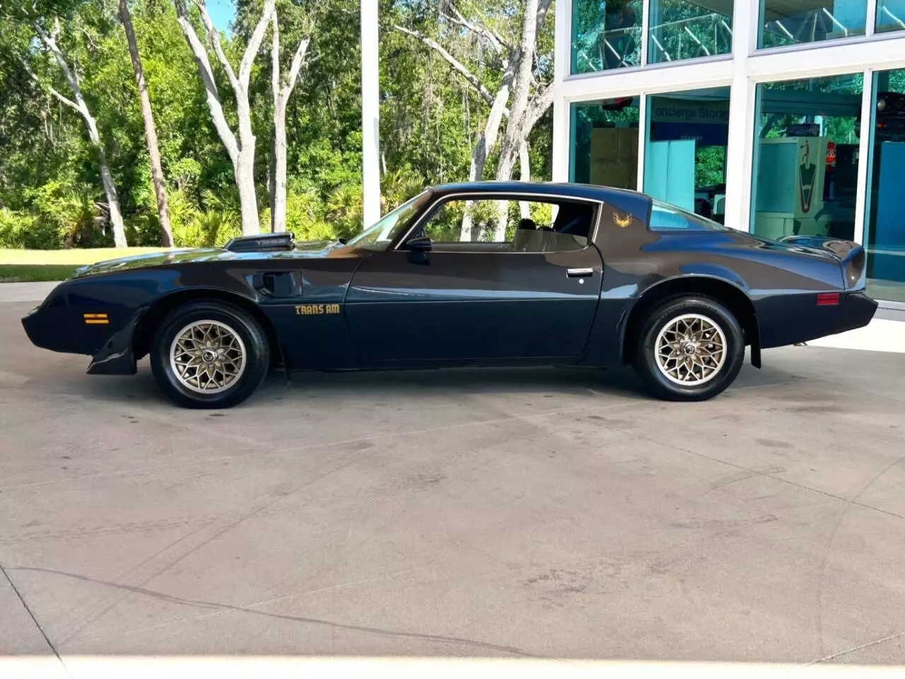 1981 Pontiac Firebird Trans Am 2dr Coupe - photo 11