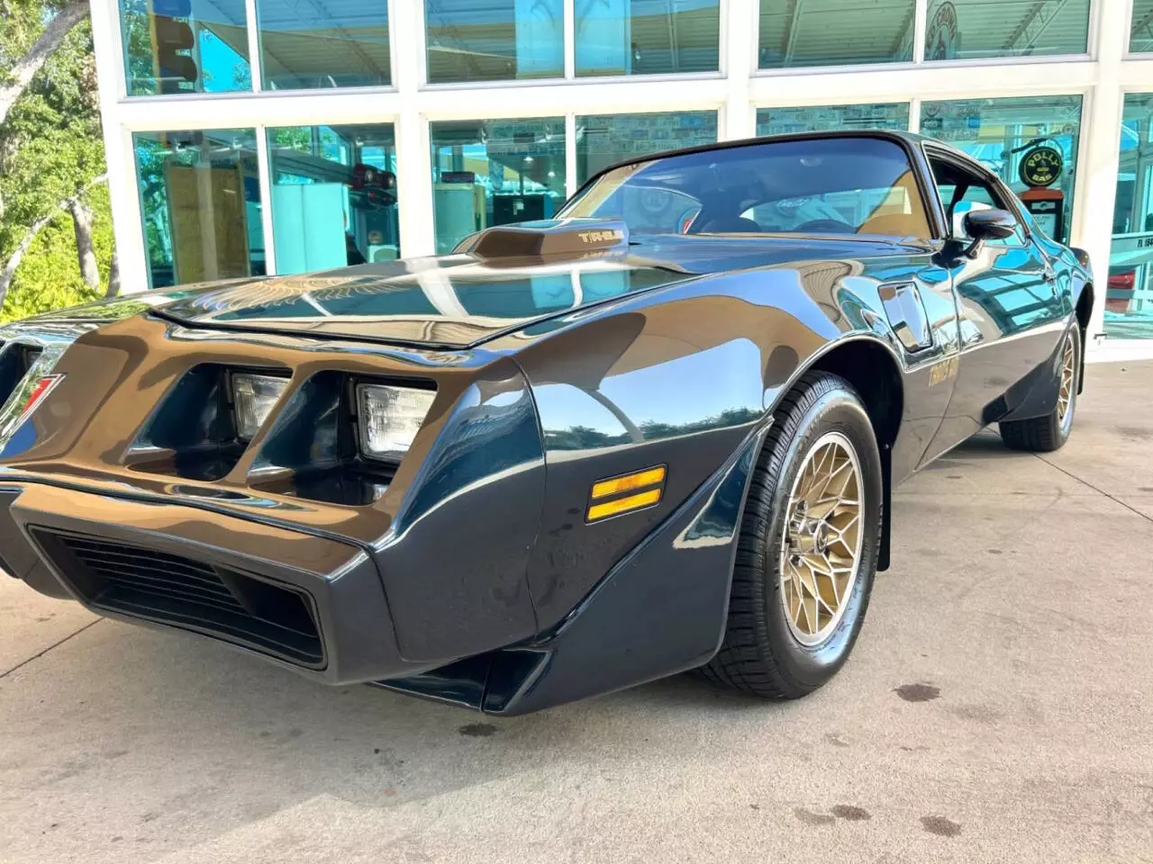 1981 Pontiac Firebird Trans Am 2dr Coupe - photo 13