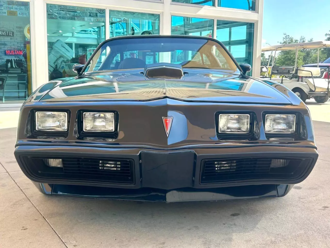 1981 Pontiac Firebird Trans Am 2dr Coupe - photo 2