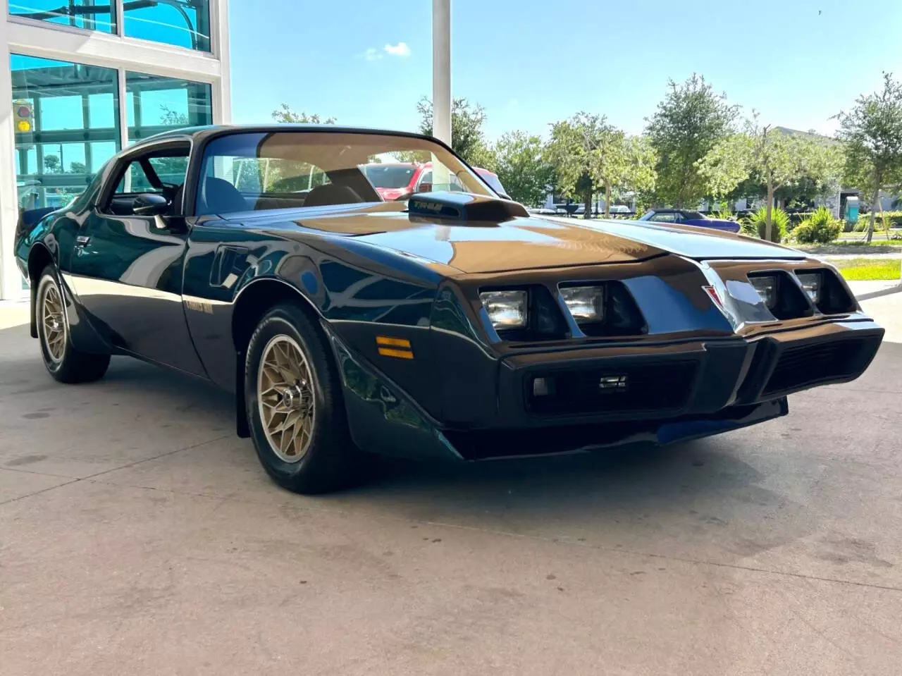 1981 Pontiac Firebird Trans Am 2dr Coupe - photo 3