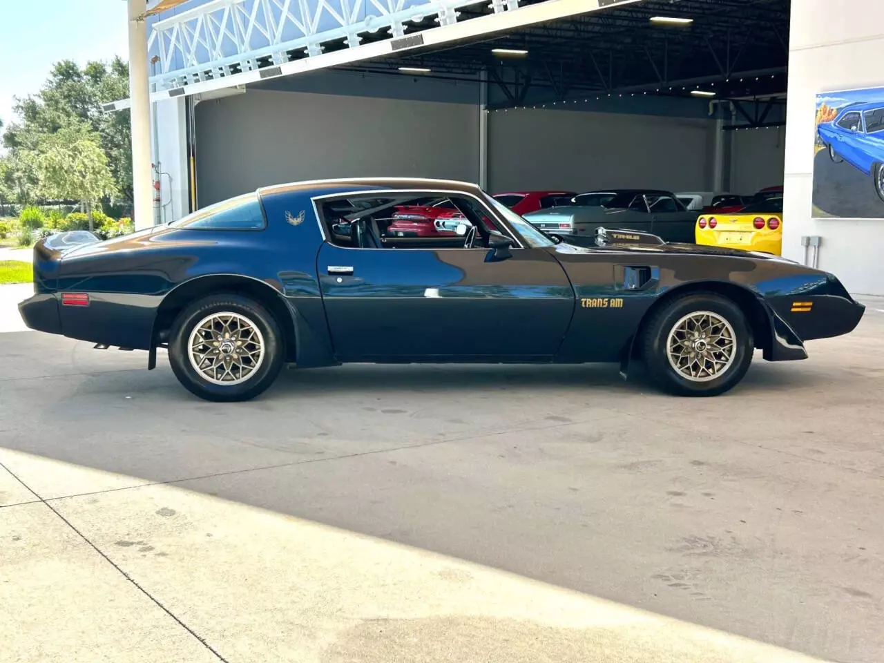 1981 Pontiac Firebird Trans Am 2dr Coupe - photo 4
