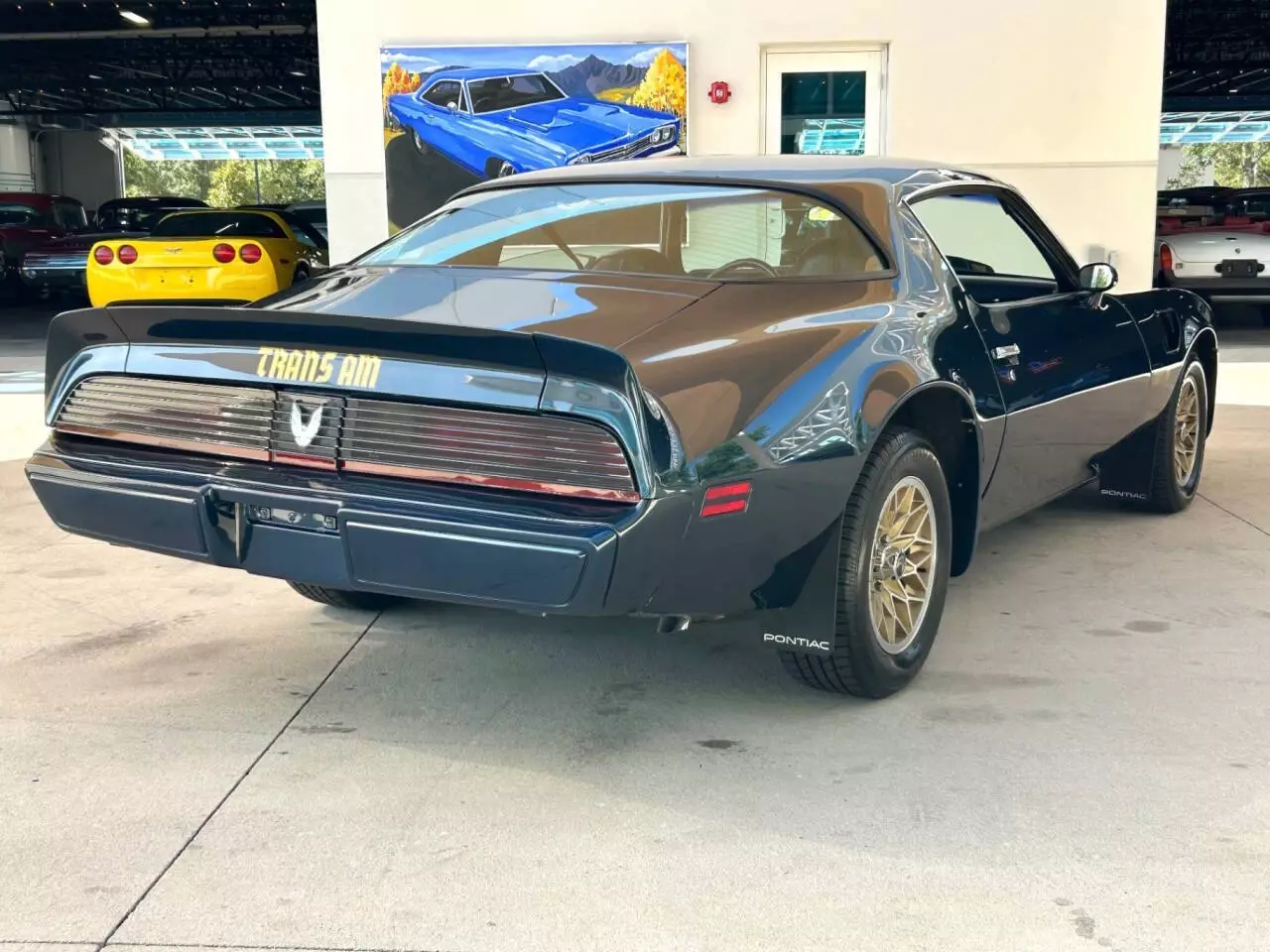 1981 Pontiac Firebird Trans Am 2dr Coupe - photo 5