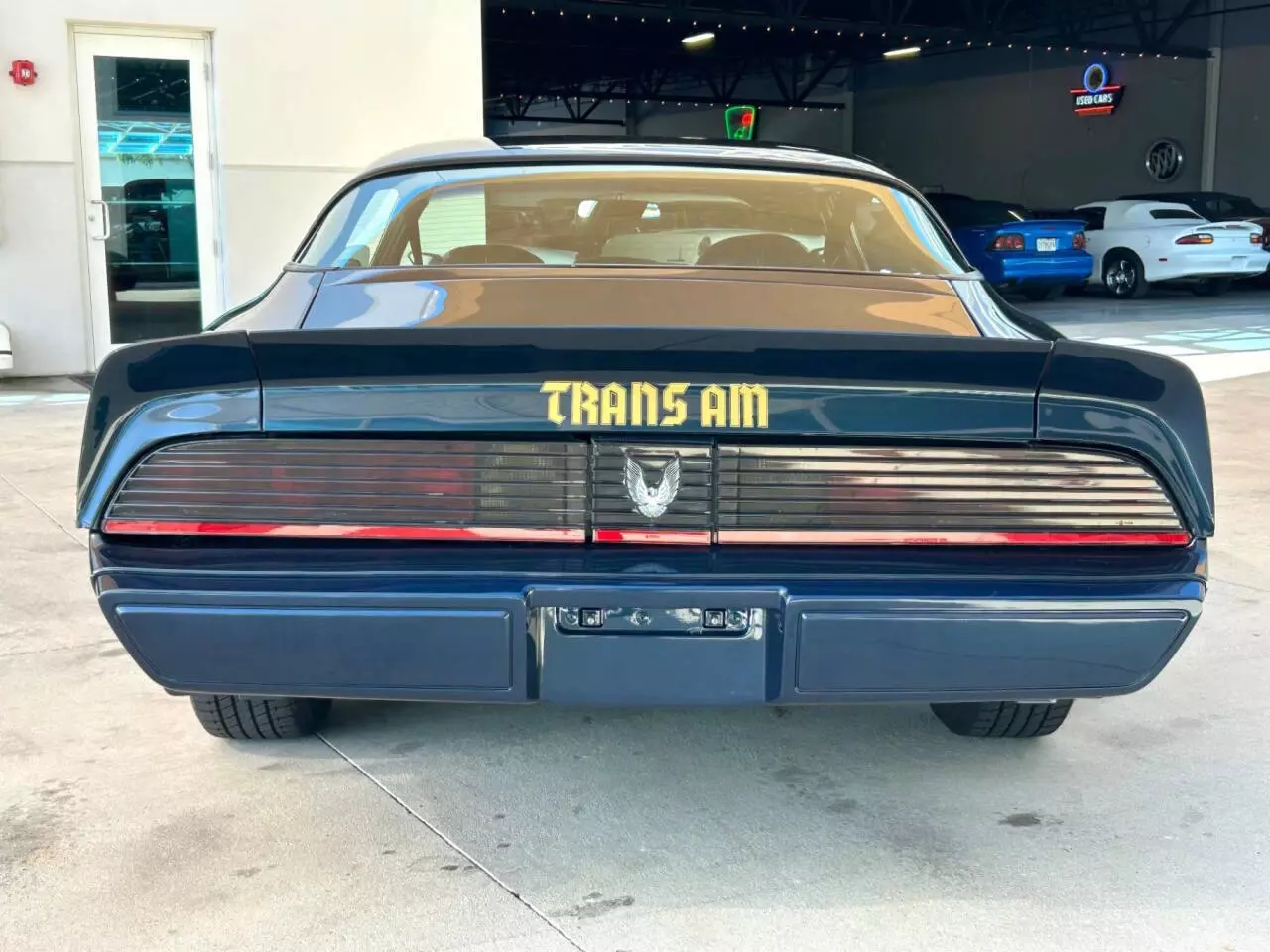 1981 Pontiac Firebird Trans Am 2dr Coupe - photo 6