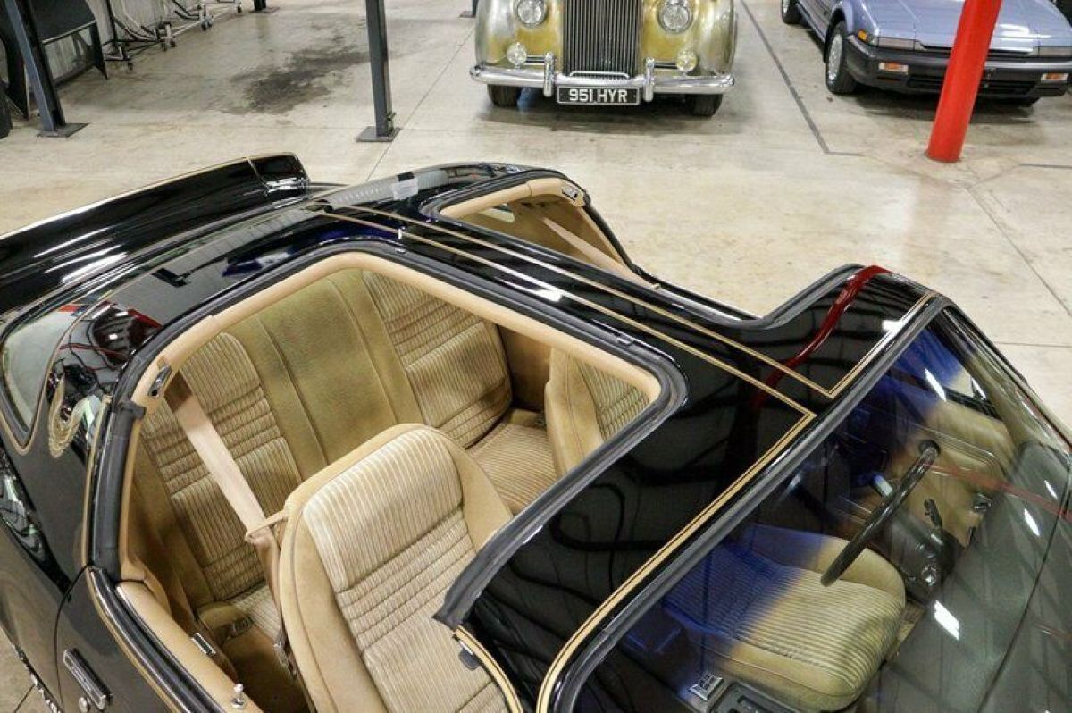 1981 Pontiac Firebird Trans Am - photo 10