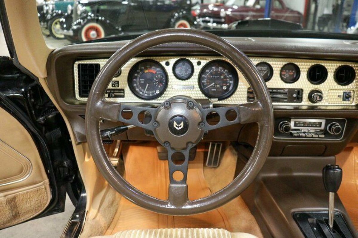 1981 Pontiac Firebird Trans Am - photo 12