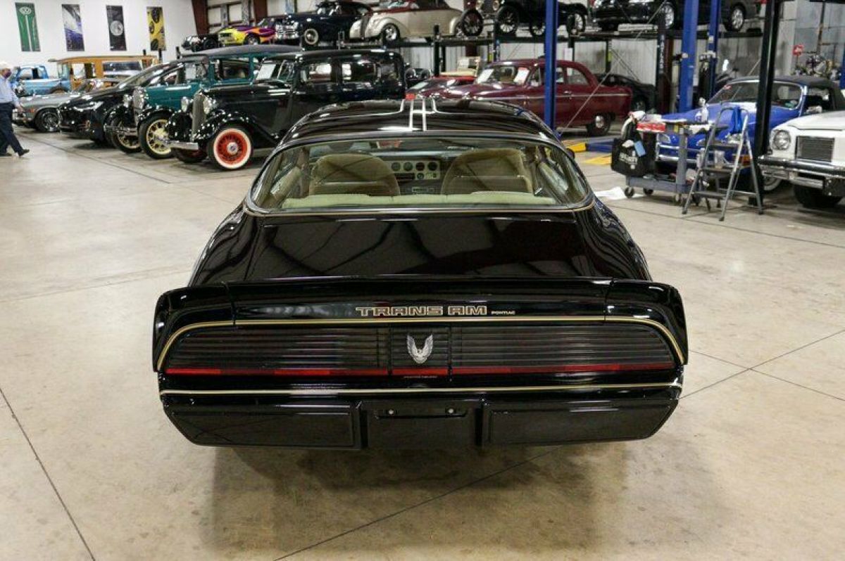1981 Pontiac Firebird Trans Am - photo 4