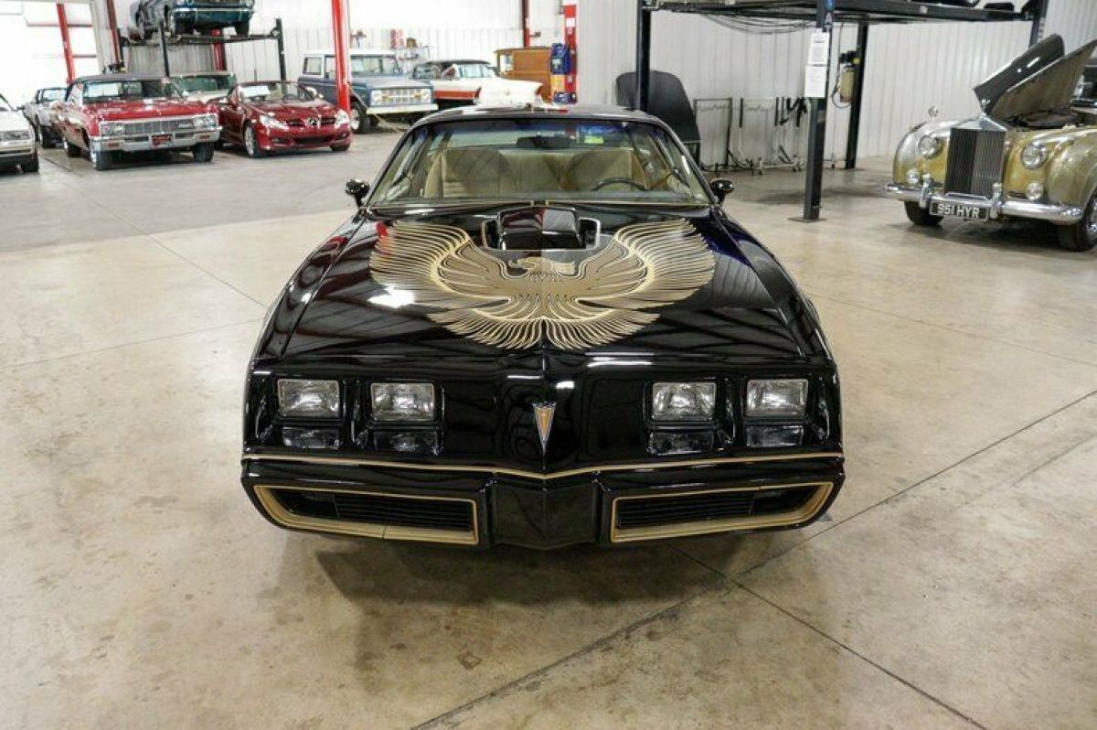 1981 Pontiac Firebird Trans Am - photo 8
