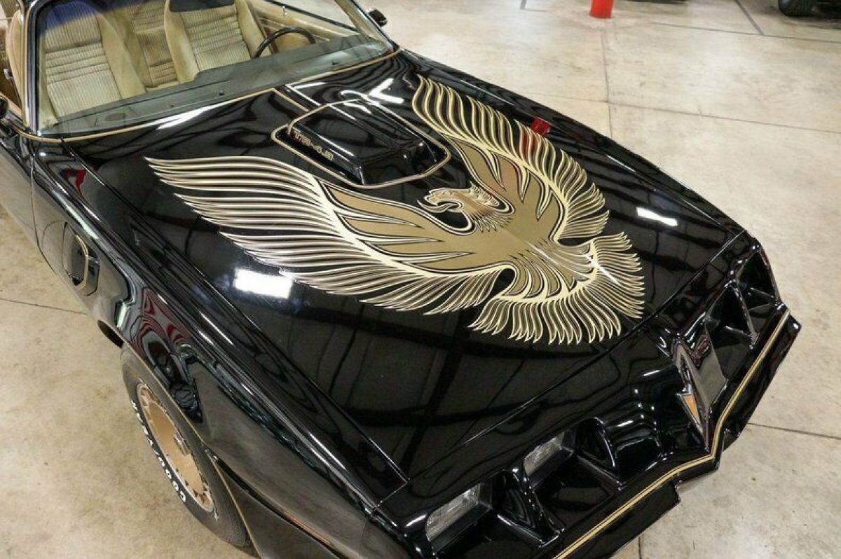 1981 Pontiac Firebird Trans Am - photo 9