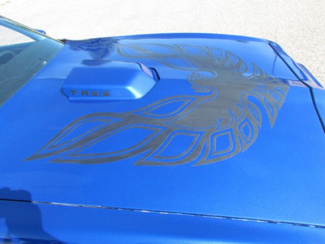 1981 Pontiac Firebird - photo 13