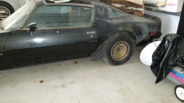 1981 Pontiac Firebird - photo 2