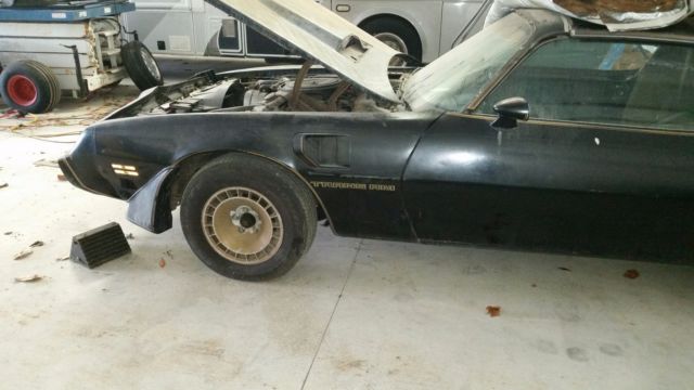 1981 Pontiac Firebird - photo 3