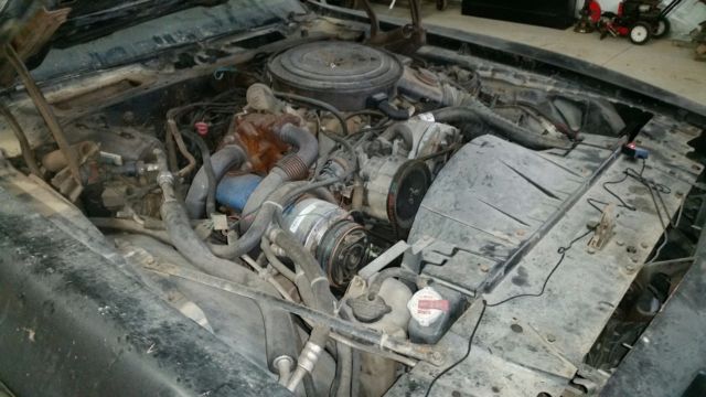 1981 Pontiac Firebird - photo 4